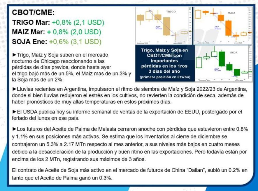 informe mercado de ganos - Argentina - 06.01-23