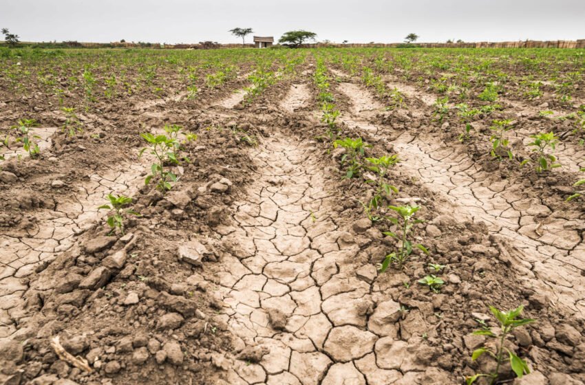  El plan del kirchnerismo para cambiar la producción del agro