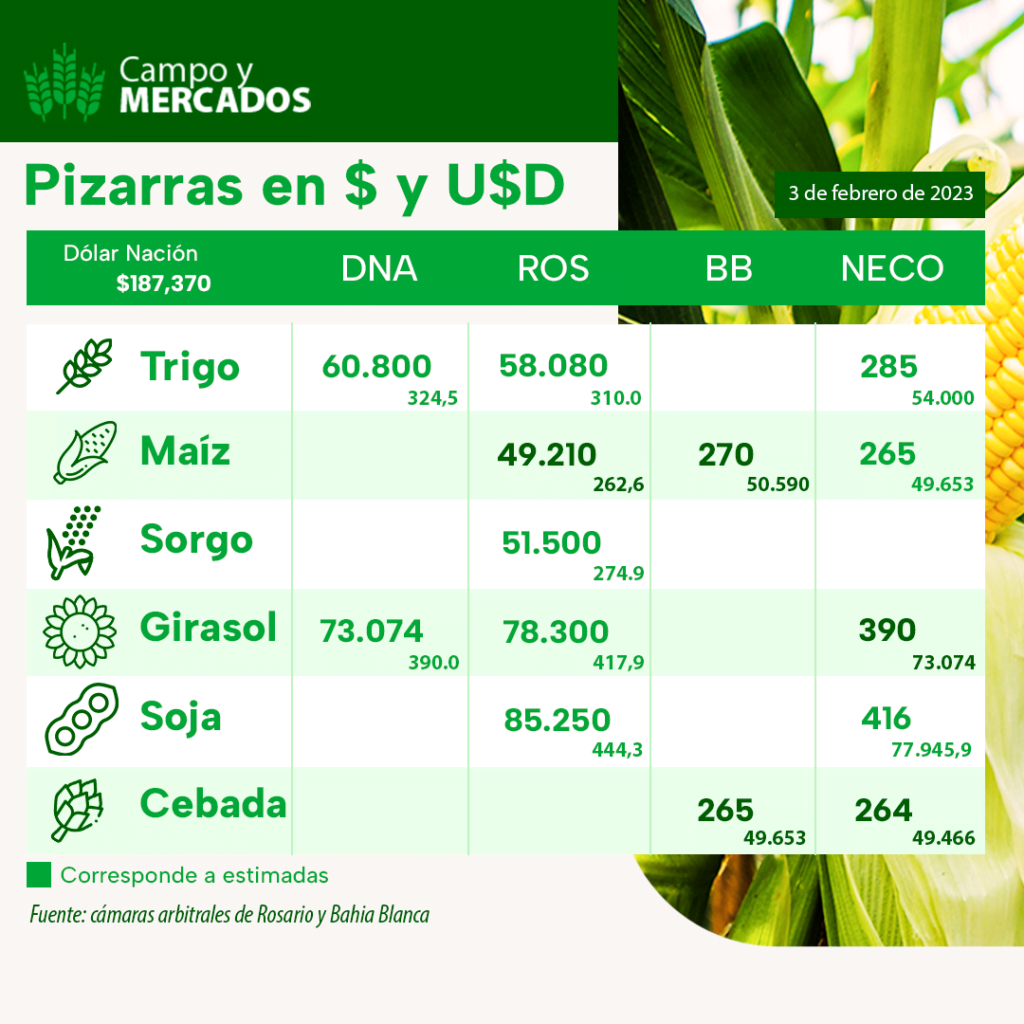 pizarra en $ y u$d del 3 de febrero 2023  - mercado de granos