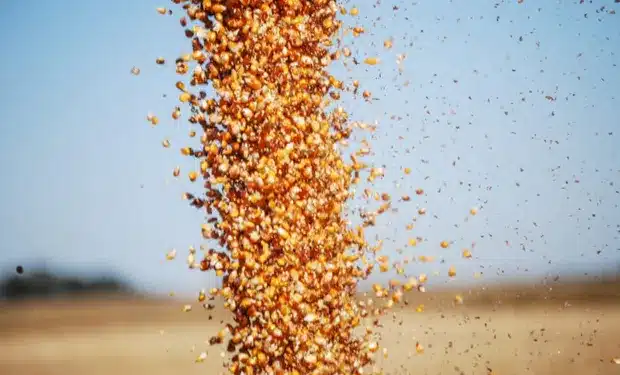  Durante el día de hoy, ingresaron al mercado oficial de cambios aproximadamente 170 millones de dólares provenientes del sector agroexportador.