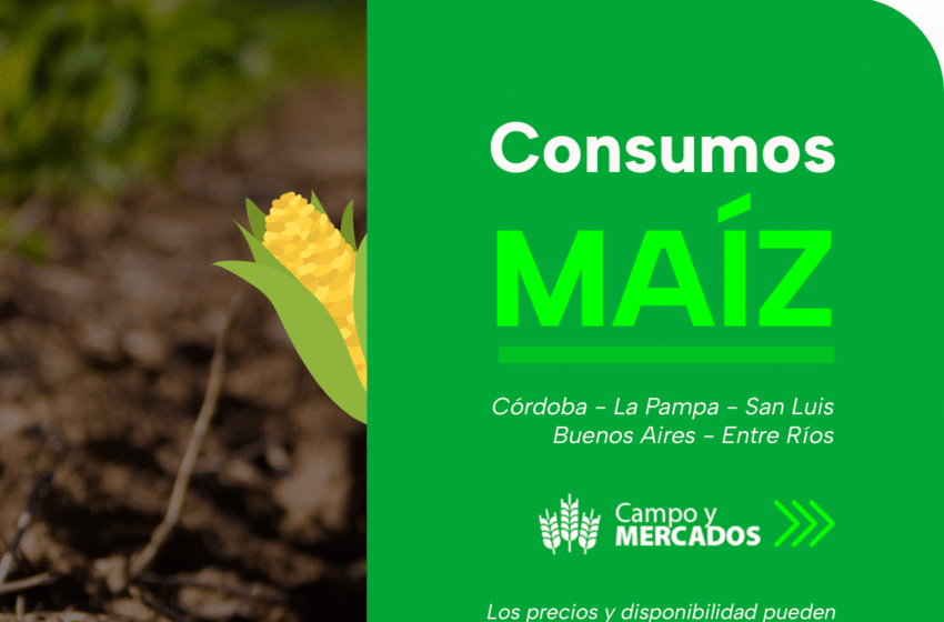 Opciones de Consumos Maíz del 9.6.23