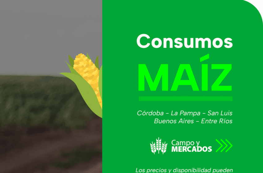 Opciones de Consumos Maíz del 8.6.23