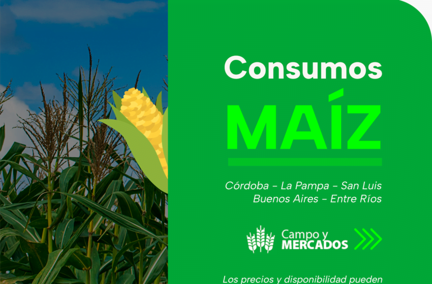 Opciones de consumos maíz del 12.7.23