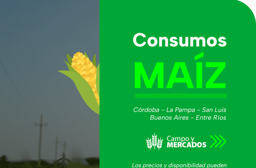 Opciones de Consumos Maíz del 6.6.23