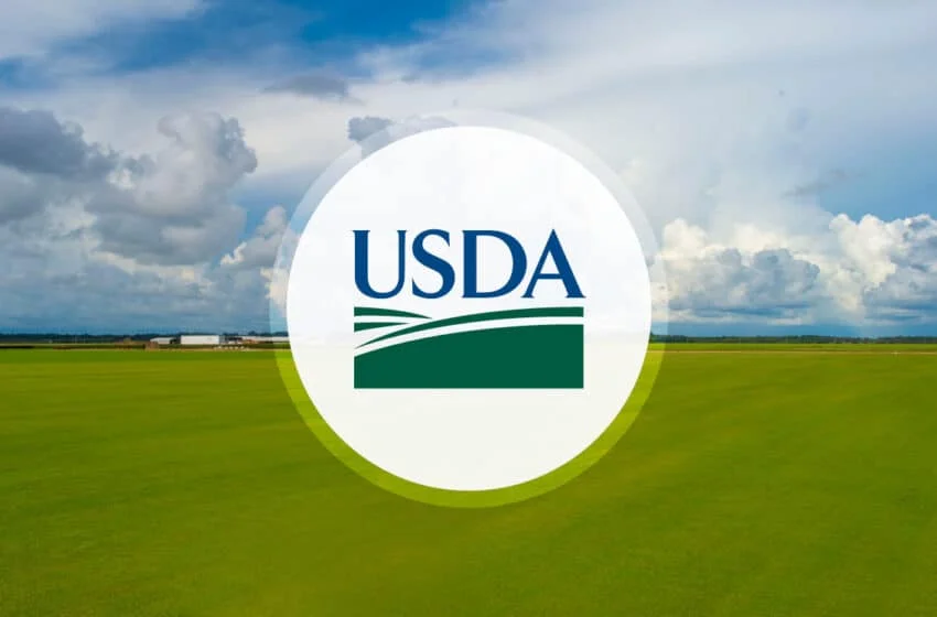 USDA : Departamento de Agricultura de los Estados Unidos