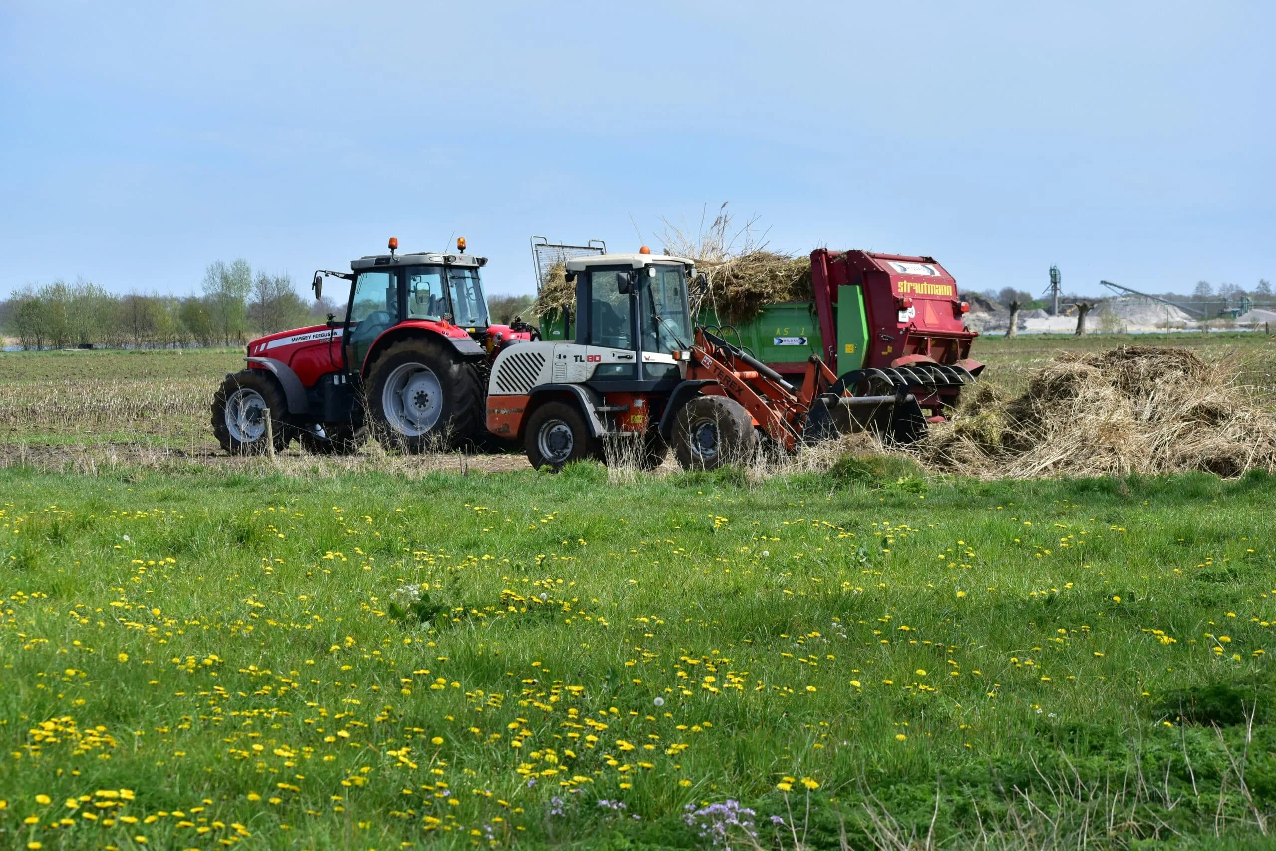 Granos en Argentina: Proyecciones de Cosecha y Desafíos Agrícolas para 2024 y 2025